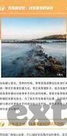 不卡av日韩在线观看-探索不卡av日韩在线观看的便捷与挑战