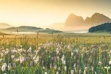 激情淫荡人妻-激情与禁忌，人妻的诱惑