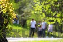 美国成人av网站麻豆-网络边界，美国成人内容平台背后的考量与反思